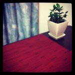 11850114_1049040968463423_163599299_a