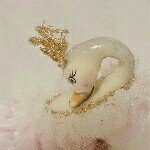 10665641_1543802502516873_26415413_a