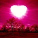 11378313_1597732467170876_1957615506_a