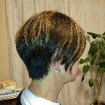 10729266_369529593231906_830273276_a