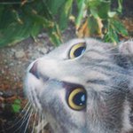 10731750_726458597447125_1092349309_a