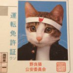 11950582_695969653871334_1414550501_a