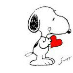 11887090_1036021329741396_331552904_a