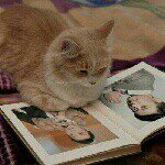 11910217_443243465848323_129431641_a