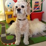 11881601_747926178670279_669018930_a