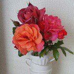 10946302_671454236298495_1510401132_a