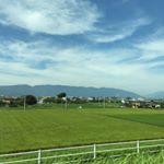 11950663_1013247088739692_1478495523_a