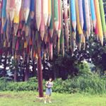 11262907_827374880715241_316783987_a