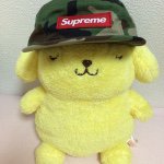 11312068_1417134925275252_1144054755_a