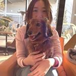 11351539_1657126881240914_632492914_a