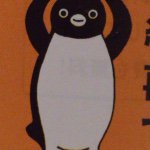 10843883_312211082307043_1068080418_a