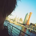 12080440_962226850482703_184470022_a