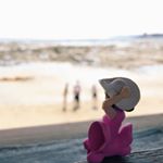 12142512_1514140728899769_1661331638_a