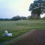 10607936_719770744737517_1151685605_a