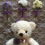 12080534_1658670467734517_1493313993_a