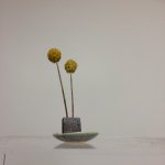 11378924_792444264210206_2048435564_a