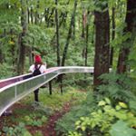 11850015_1102231893144450_434856836_a