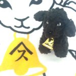 11260324_768113053286006_426164292_a