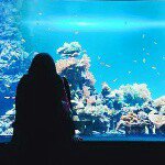 10723998_456722111149522_1895196457_a