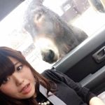 11258330_516717218495634_197675208_a