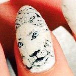 10919553_1469917759895605_1806853931_a