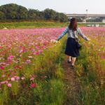 12142464_1039964422688980_2054541746_a