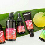 10808524_1493588827597601_89738619_a