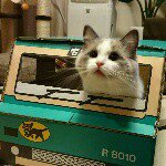 11385235_1429225230733232_769386269_a