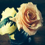 924614_1531602840437521_1574000510_a