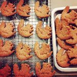 11372335_892016707514175_730339818_a