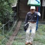 11373885_714264425368436_1102298801_a