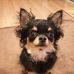 11377507_486769321499761_624943025_a