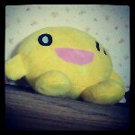 10865010_1010400115645626_1761636893_a