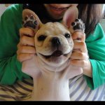 10932037_994212050606766_660026567_a