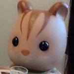 11875555_1467411953568572_475089965_a