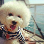 11325409_1648121518737960_1182953070_a