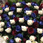 12269812_508139632690856_1861550349_a