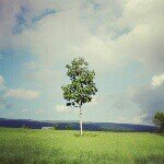 10299599_1621260008159300_1350519831_a