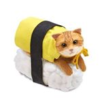 12093774_446000395580400_1280524961_a