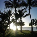 923789_473447922795678_1331733888_a