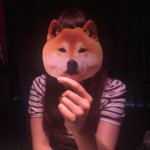 11351995_401821873335937_1309028959_a