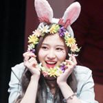 11421821_1504937299836308_278044841_a