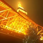 12292761_423548031183793_699765776_a