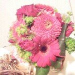 10432051_455264631244009_1469651398_a