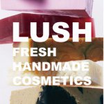 11355168_1596244883978772_646684487_a