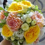 10903616_1399995970297986_49295564_a