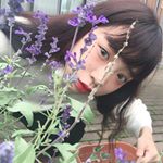 12277610_443329845868449_1121147590_a