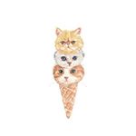 12277618_1652391675019071_1333311173_a