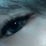 11357711_385095341680733_1104124575_a