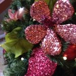 11336086_395865993943083_1986494971_a